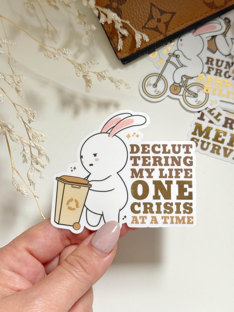Decluttering My Life One Crisis At a Time (DC106)