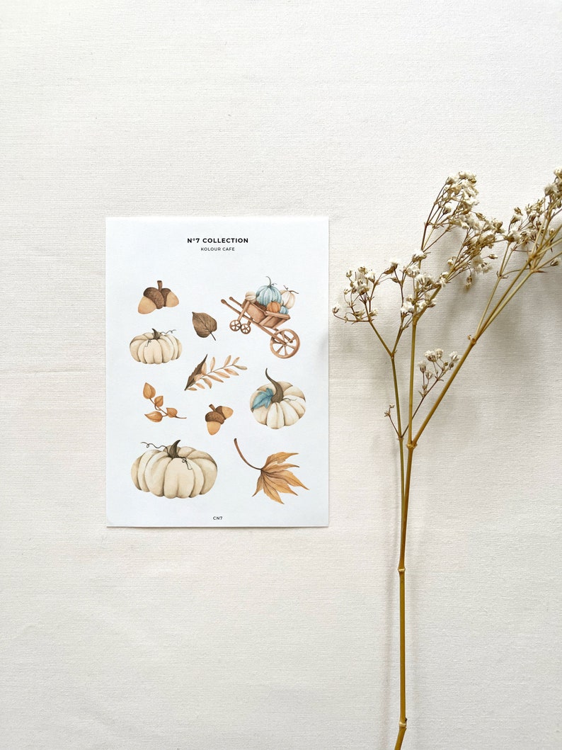 Autumn Florals & Folliage (N7)