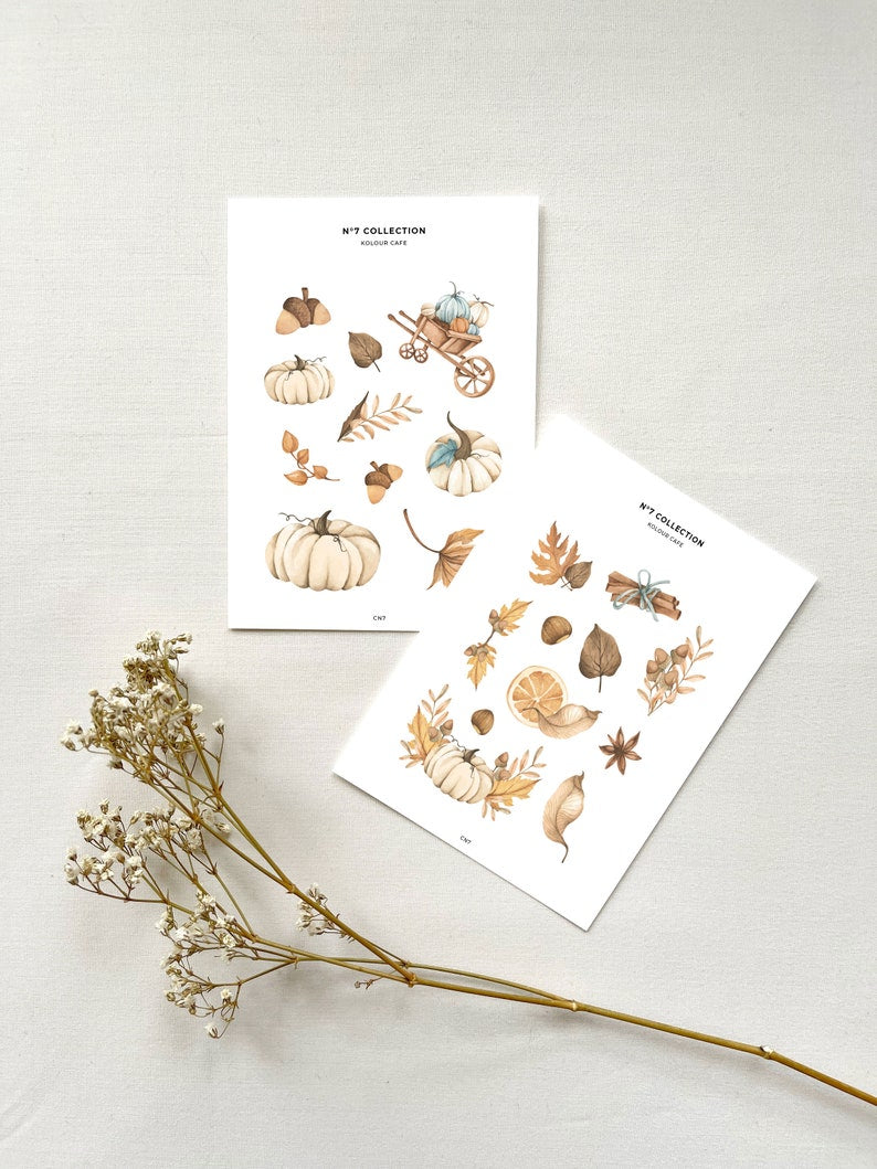 Autumn Florals & Folliage (N7)