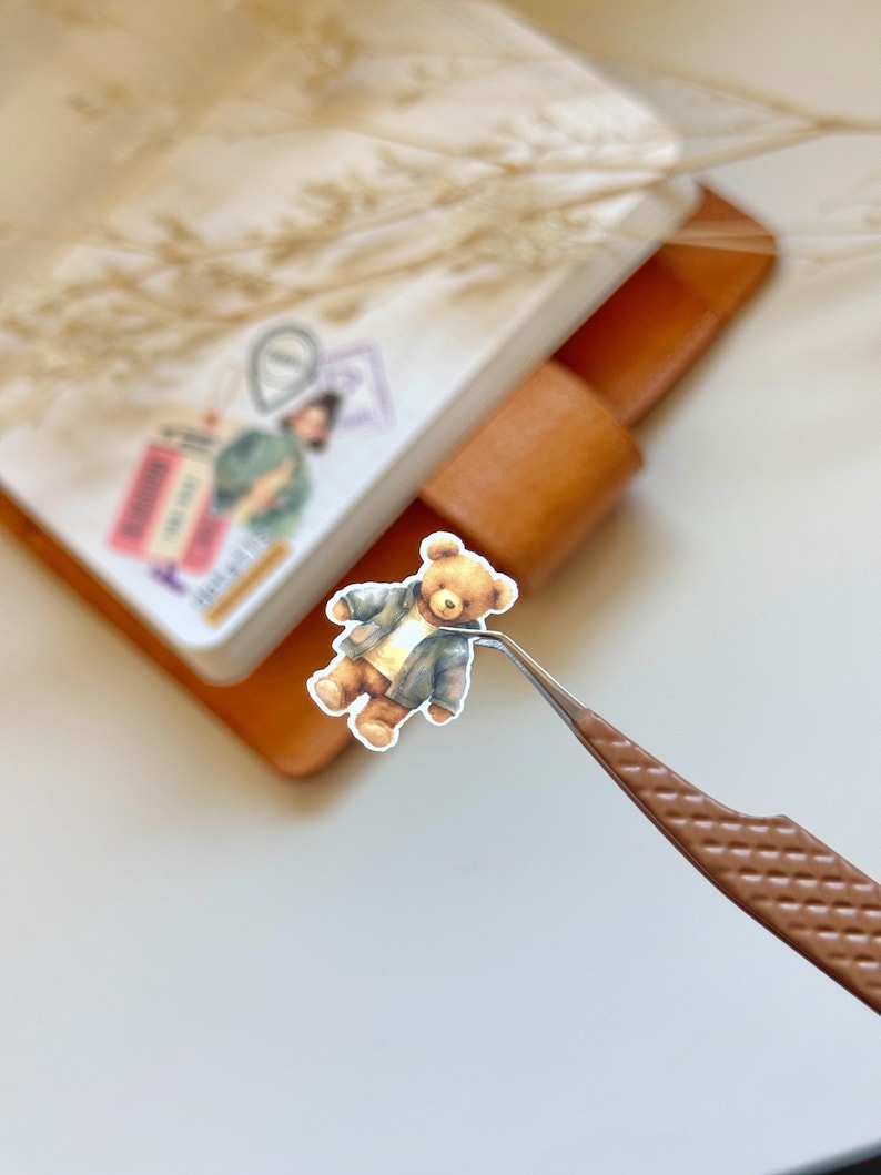 Cute Teddy Vinyl Stickers | OPK N13 N14