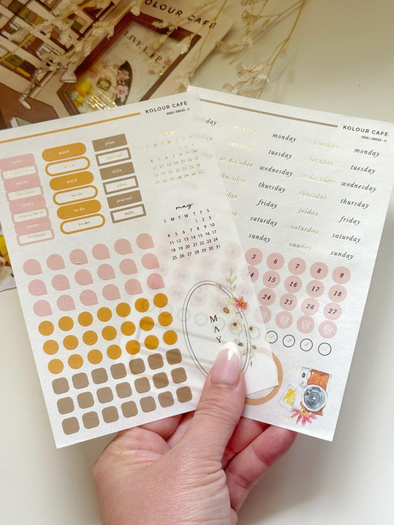 Extras Monthly Sticker Subscription | May 2025