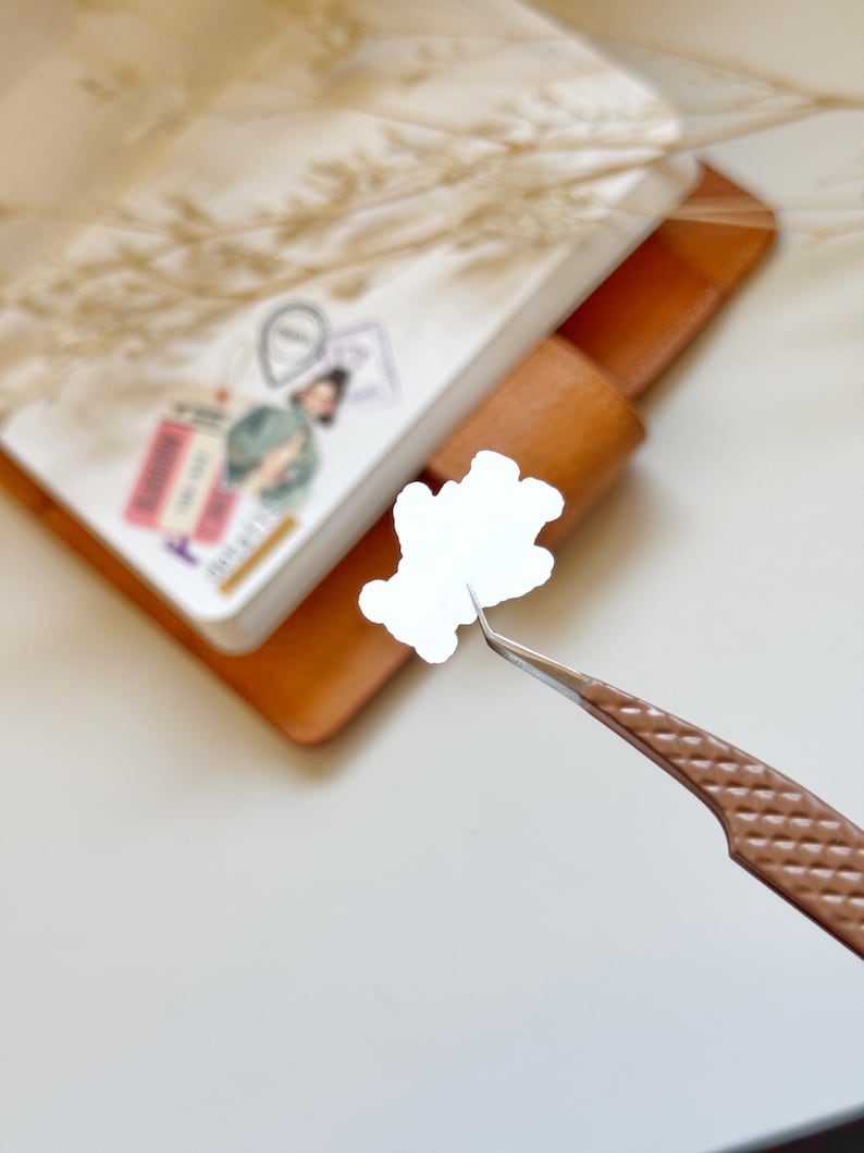 Cute Teddy Vinyl Stickers | OPK N13 N14