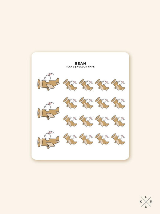 Flight / Airplane (B021)