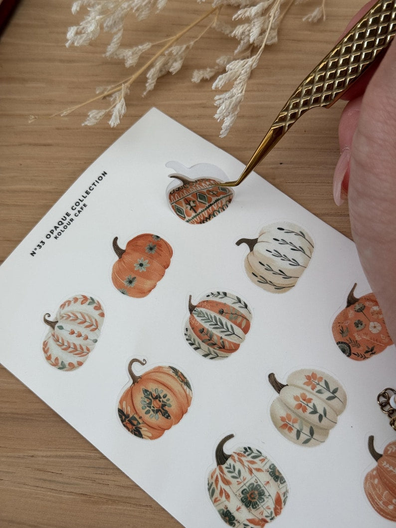 Orange Autumn Pumpkins (OPK33)