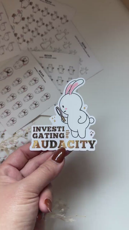 Investigating Audacity (DC102)